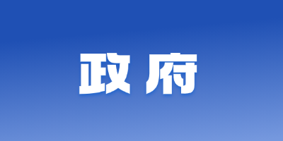 政府