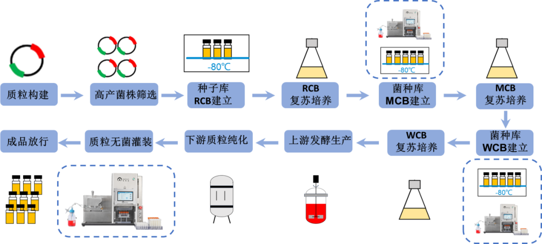 【收藏】細胞庫、菌株庫、質(zhì)粒庫的自動化灌裝解決方案