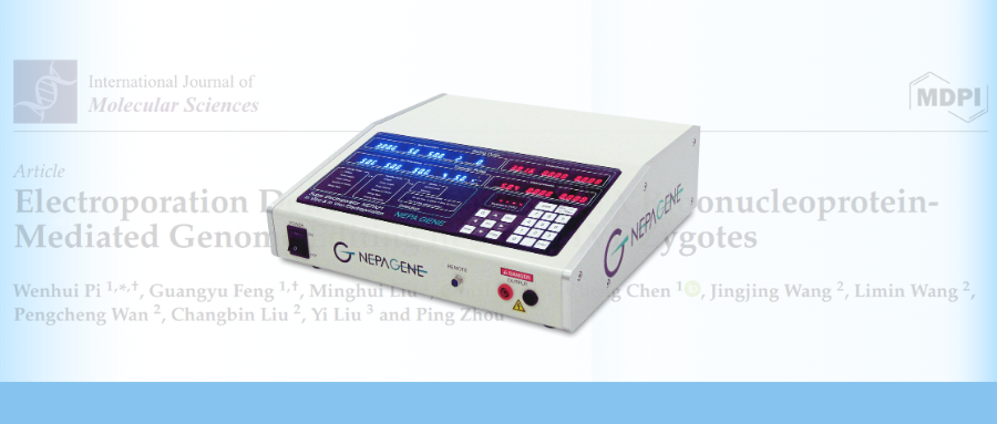 【重磅】電轉利器NEPA21，助力綿羊IVF受精卵基因組編輯