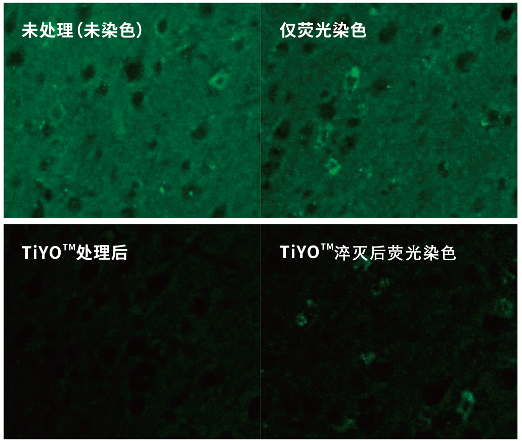 關于消除生物樣品自體熒光，您了解哪些？