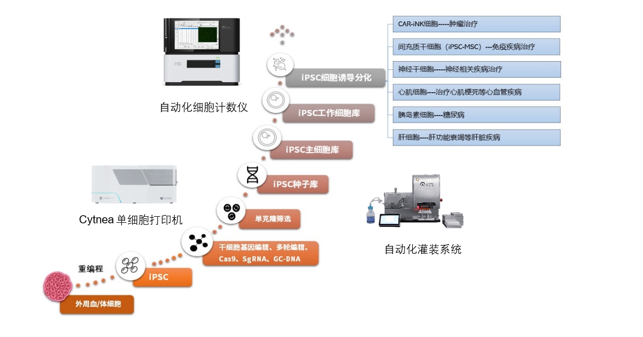ipsc干細胞單克隆篩選與建庫解決方案