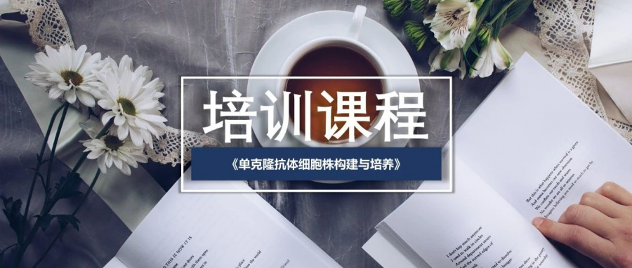 免費培訓 | 單克隆抗體細胞株構建與培養（免費課程，報名從速）