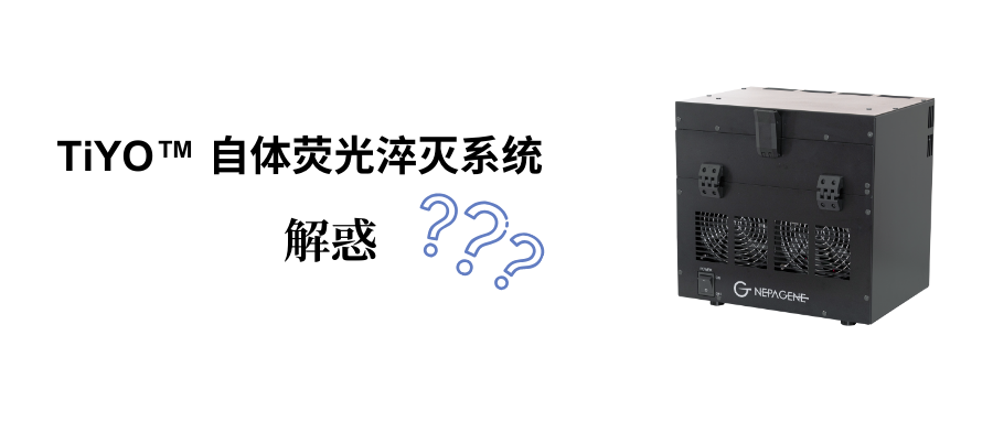TiYO? 自體熒光淬滅系統解惑，助您更快上手操作